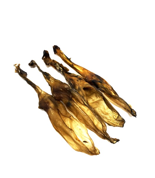 Fresh Raw Oreja de conejo 20 cm,FR61 Bolsa 20ud.