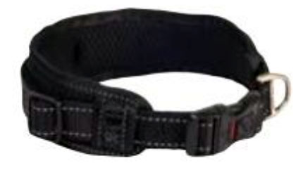 ROGZ COLLAR PADDED XXL HBP19-A