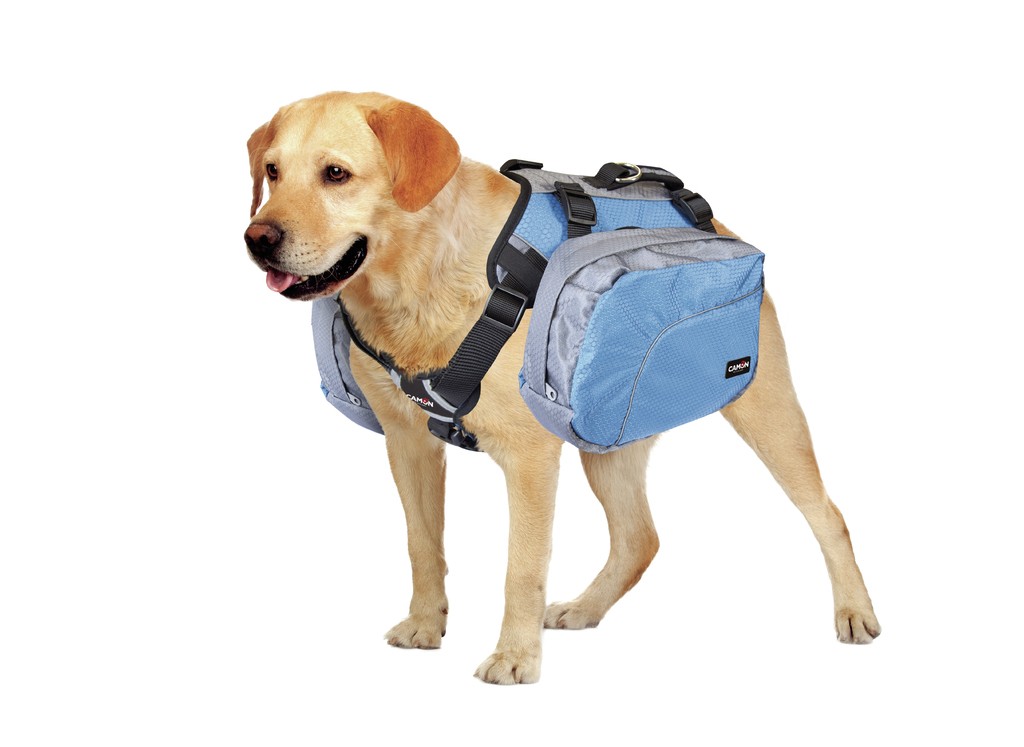 CAMON ARNES 2 BOLSAS T-L DC361