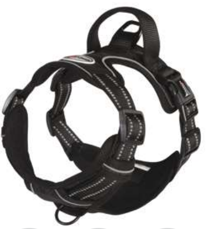 CAMON ARNES TECNICA NEGRO T-L DC353/03