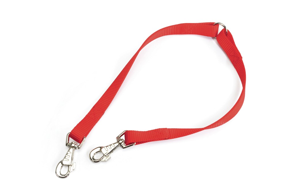 CAMON CORREA ROJO 12X350 F151/01