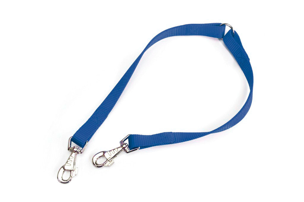 CAMON CORREA NYLONAZUL 12X350 F151/02