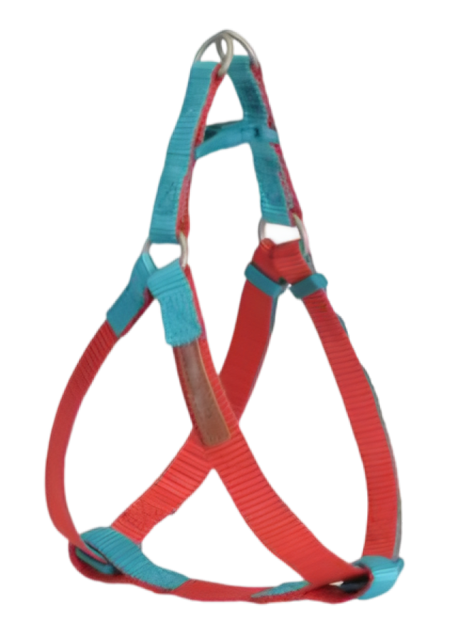 CAMON ARNES ROJO AZUL 20X450 DC119/O.02