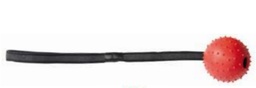 [8019808171296] CAMON Pelota 76mm Cuerda 28cm AD052/C