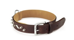 [8019808045900] CAMON COLLAR COLOR CON TACHAS 25X550 DA016/B